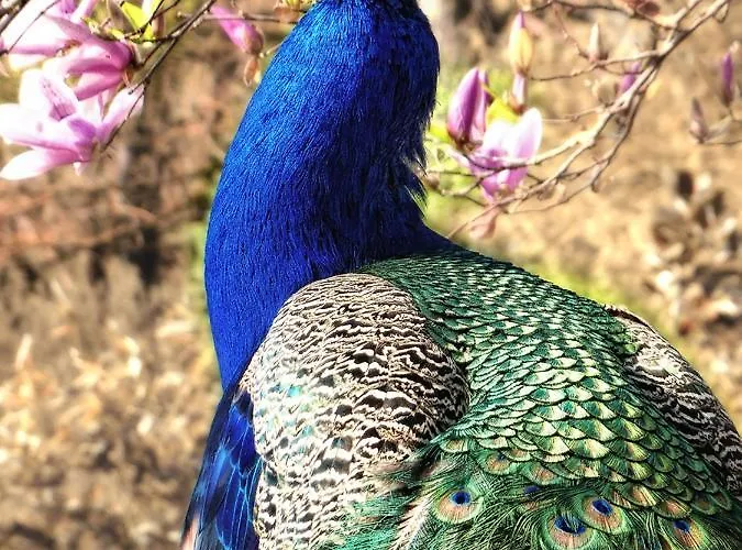 Hofgut Holzmuhle 格尔梅斯海姆